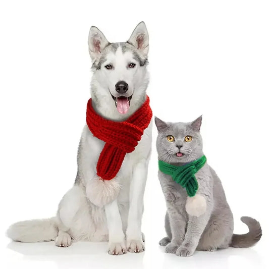 Pet Knitted Scarf Creative VIP Teddy Scarf Cat Dog - Johns Direct