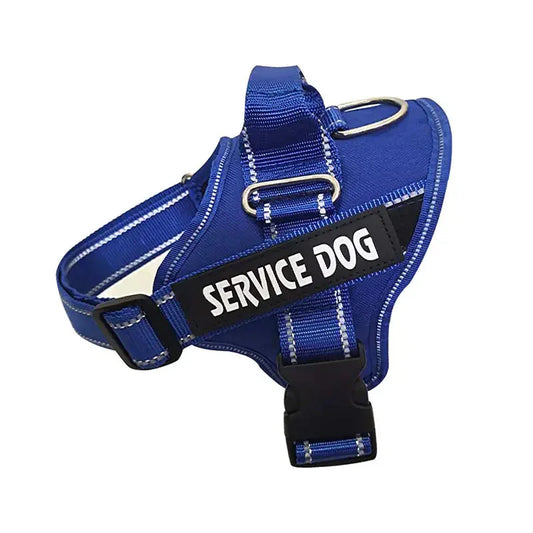 Personalized Pet Chest Strap Products - Johns Direct