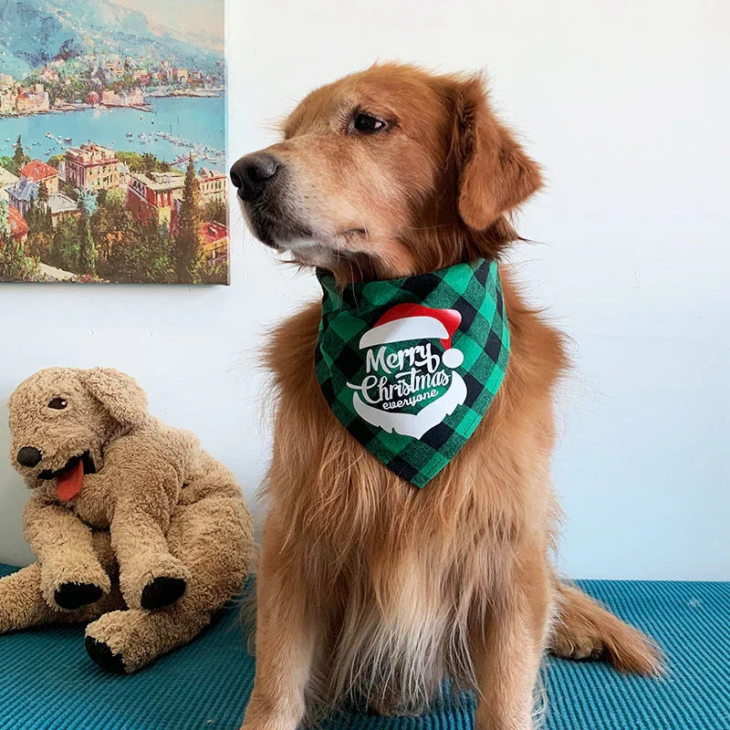 Mister Johns Pet Store Products Collection