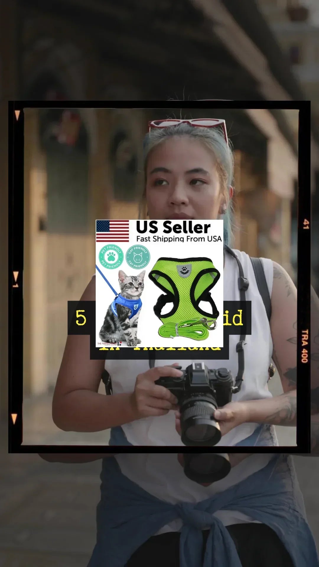 Reflective Adjustable Pet Harness - Johns Direct