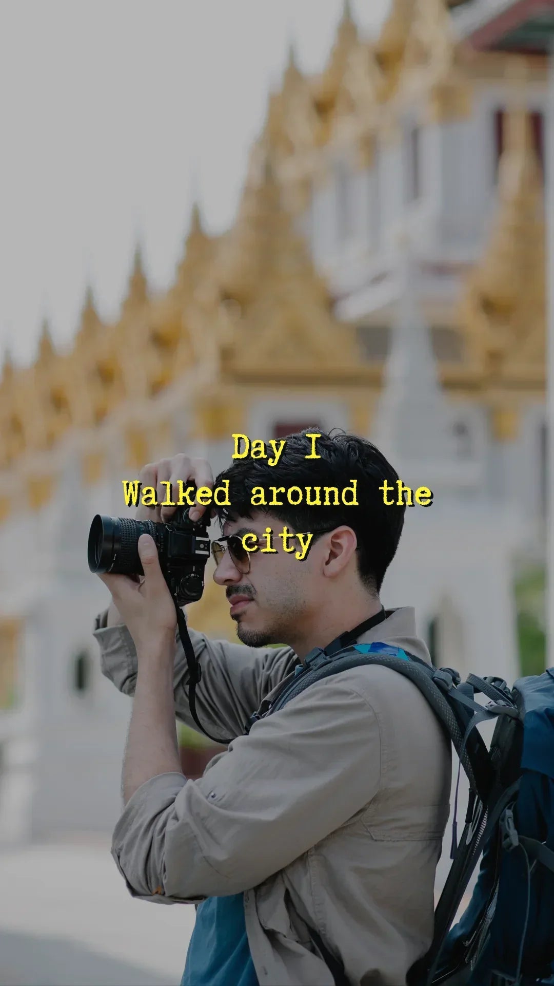 Reflective Adjustable Pet Harness - Johns Direct