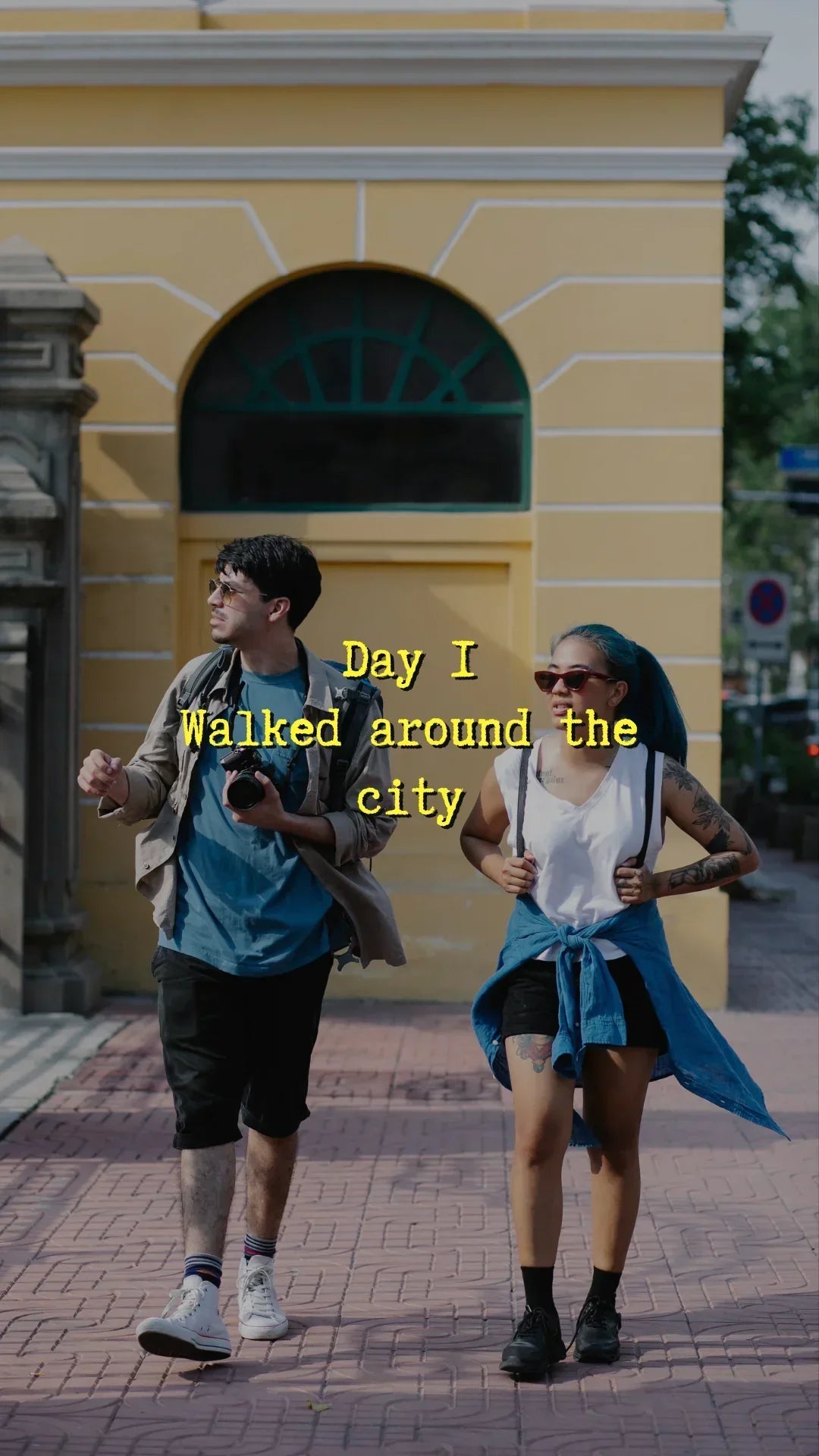 Reflective Adjustable Pet Harness - Johns Direct