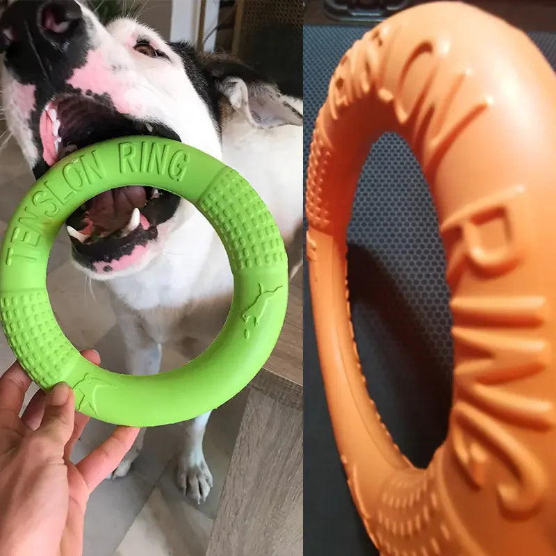 EVA Dog Training Play Ring - Johns Direct