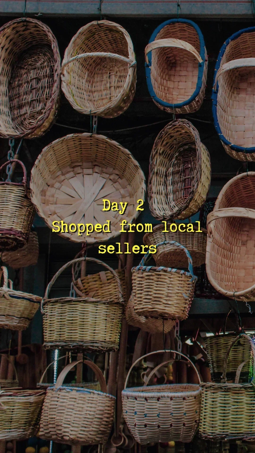 Reflective Adjustable Pet Harness - Johns Direct