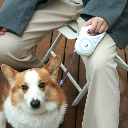 Retractable purple dog leash held by person
