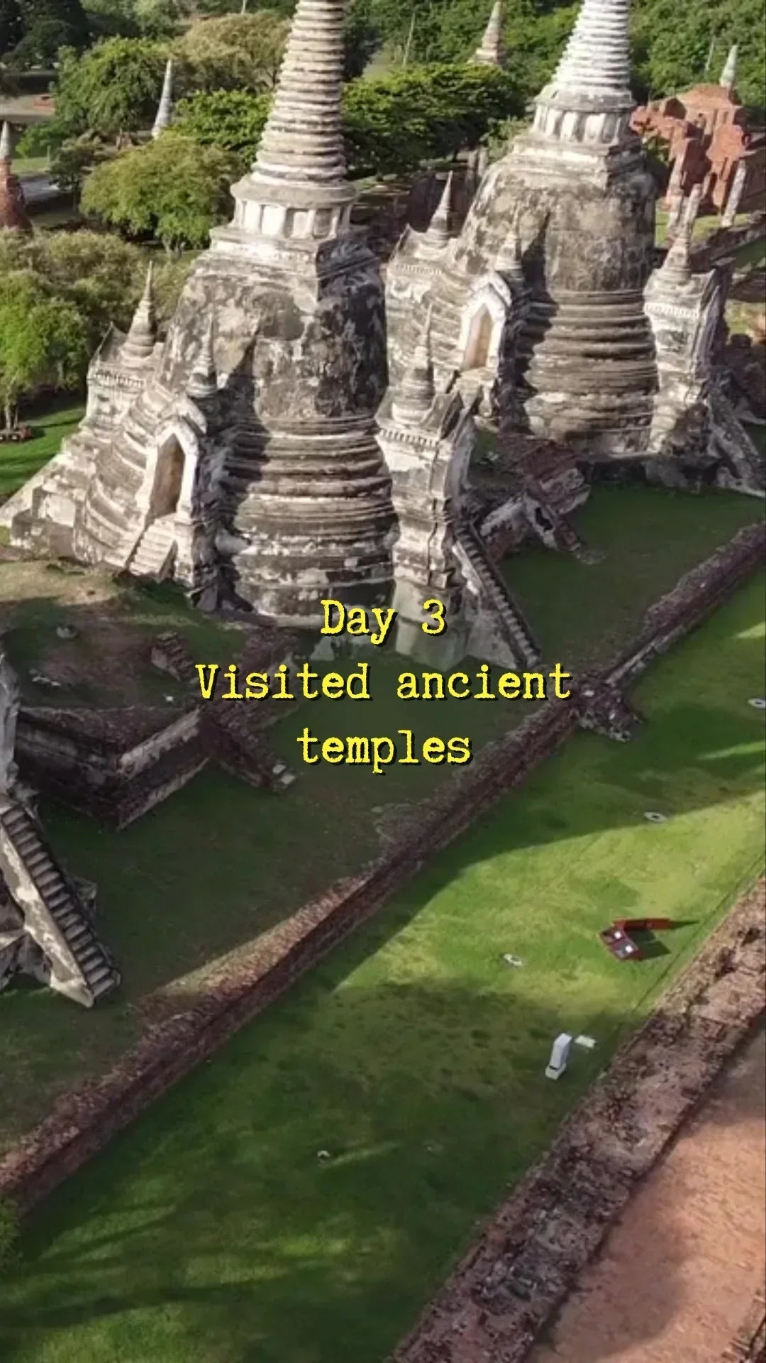 Reflective Adjustable Pet Harness - Johns Direct