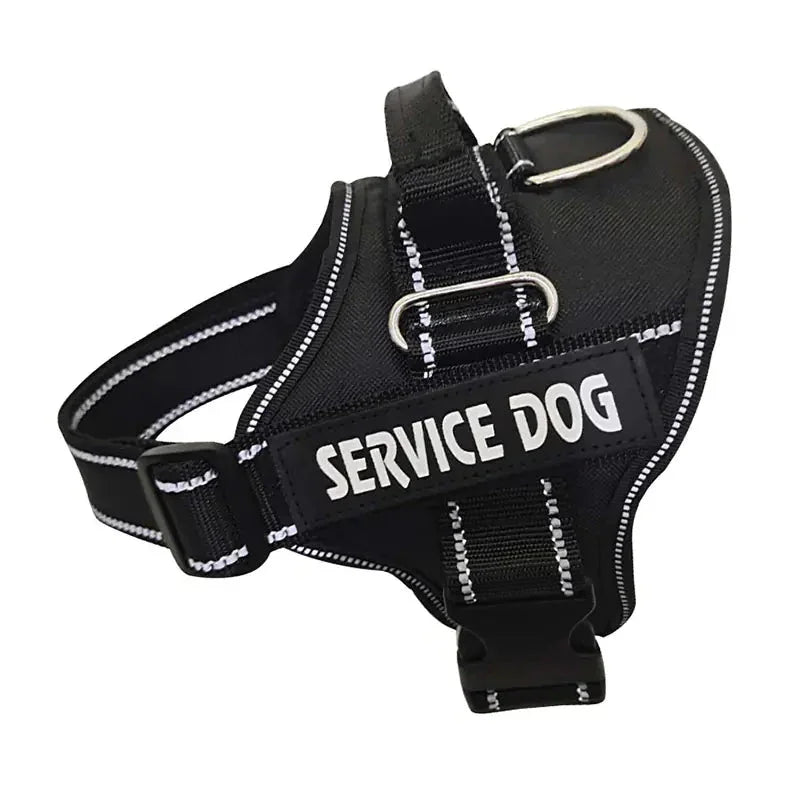 Personalized Pet Chest Strap Products - Johns Direct