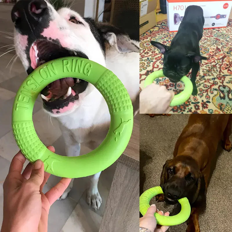 EVA Dog Training Play Ring - Johns Direct