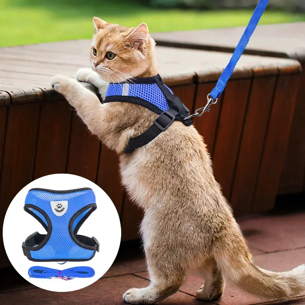 Reflective Adjustable Pet Harness - Johns Direct