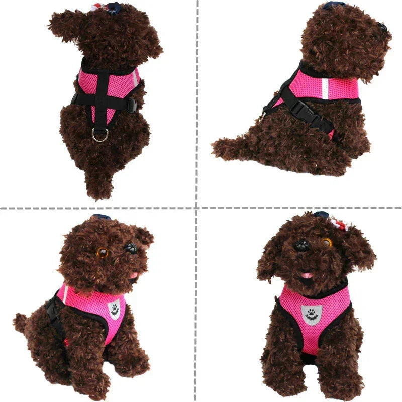 Reflective Adjustable Pet Harness - Johns Direct