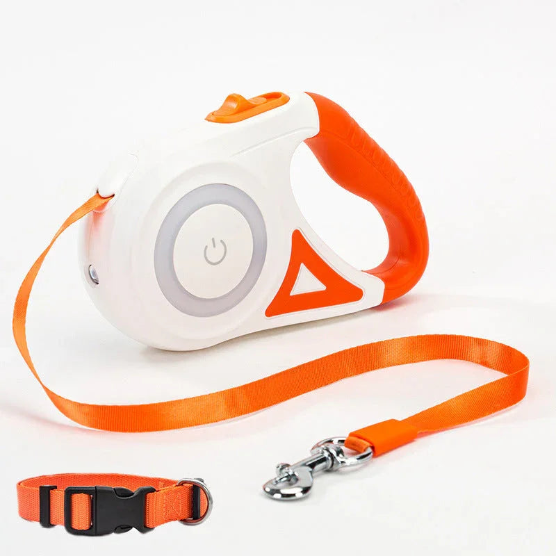 Orange retractable dog leash with matching collar
