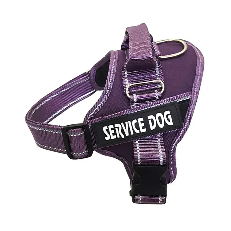 Personalized Pet Chest Strap Products - Johns Direct