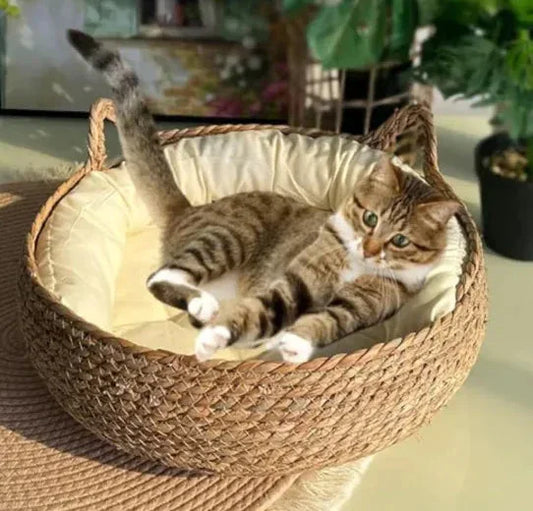 Handmade Pet House - Johns Direct