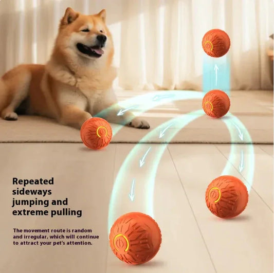 Electric jumping ball dog toy with LED lights