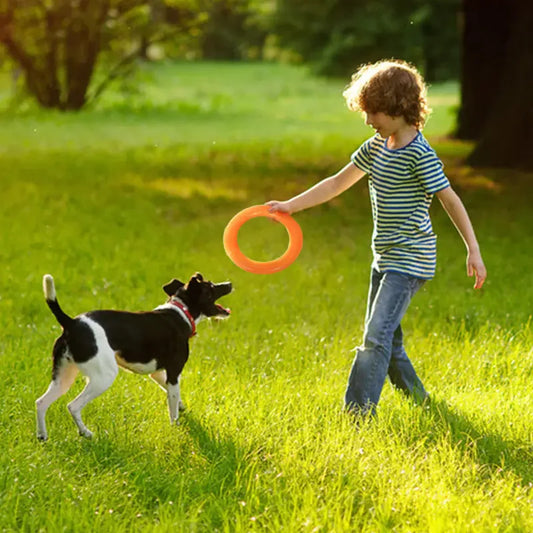 EVA Dog Training Play Ring - Johns Direct