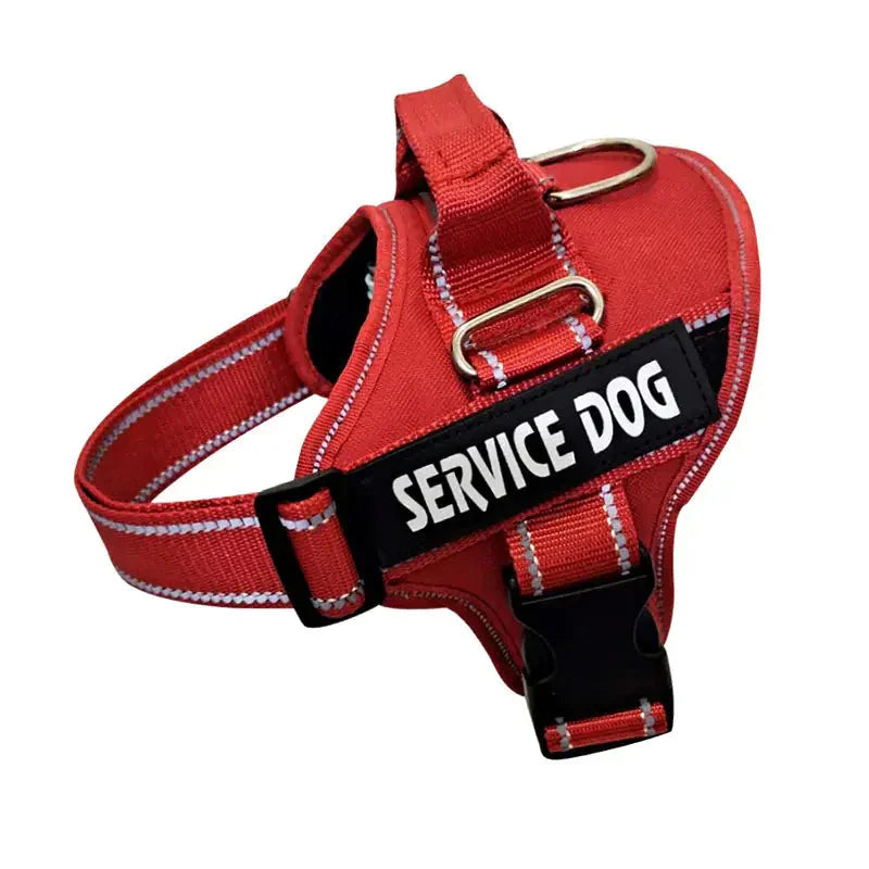 Personalized Pet Chest Strap Products - Johns Direct